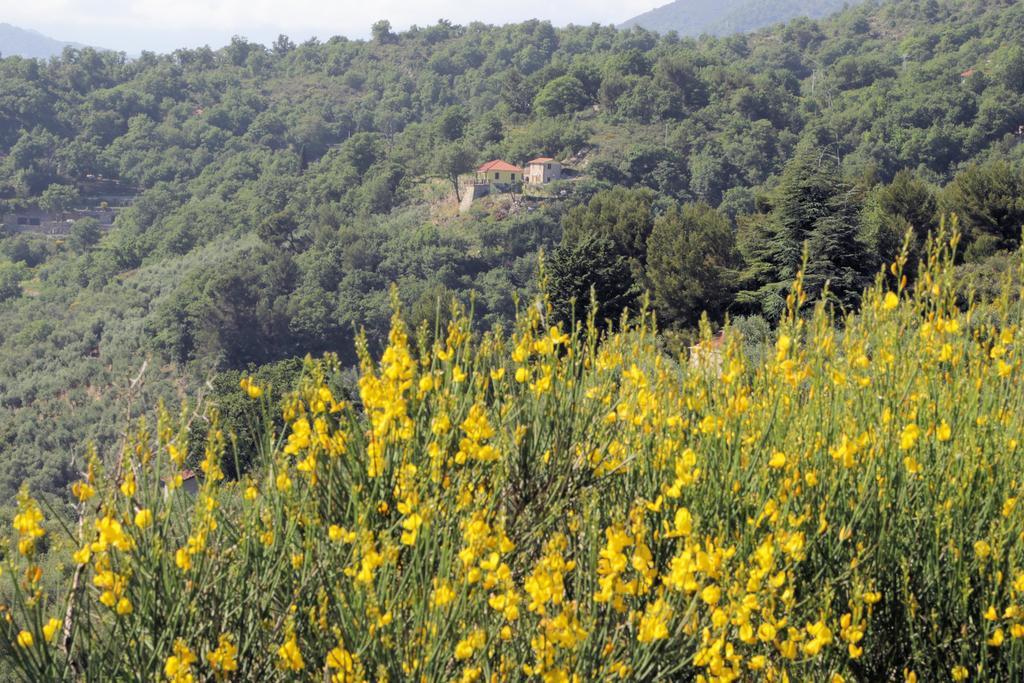 Case Natura Pontedassio Bagian luar foto